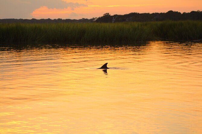 Folly Beach Dolphin Viewing Boat Excursion and Estuary Tour - Authentic Experiences and Highlights from Reviews