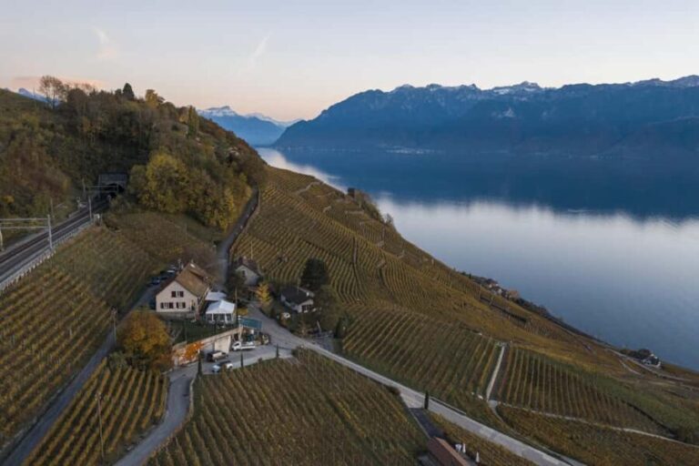 Fondue in the heart of the Lavaux vineyard - The Setting and Views