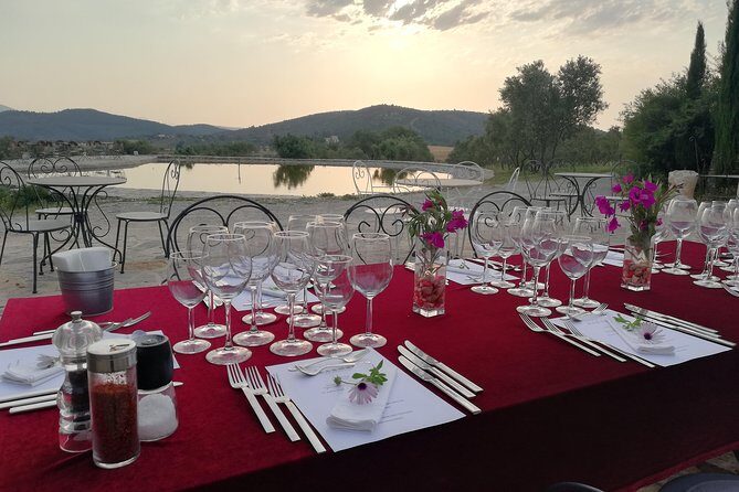 Food and Wine pairing Dinner at Karnas Vineyards Bodrum - Analyzing the Value