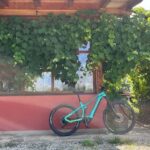 Food and Wine Tour: from the Royal Palace of Venaria to Val Susa/Sangone - Who Will Love This Tour?