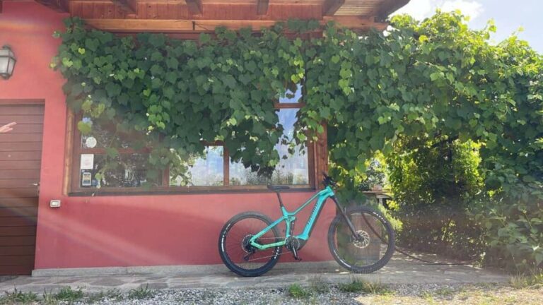 Food and Wine Tour: from the Royal Palace of Venaria to Val Susa/Sangone - Who Will Love This Tour?