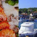 Food tour in Evia Island -road trip- small group - What Could Be Improved or Considered
