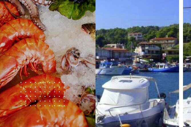 Food tour in Evia Island -road trip- small group - What Could Be Improved or Considered