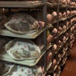 Food Valley: Parmesan, Prosciutto, Balsamic,Wine,Ferrari Day Tour - What’s the Real Value Here?