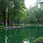 Foodie Tour in Polanco: Mexico Culinary roots! - Final Thoughts: Who Is This Tour Best For?