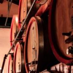 Food&Wine Tour to the discovery of Historical Casa Paladin - Who Is This Tour For?