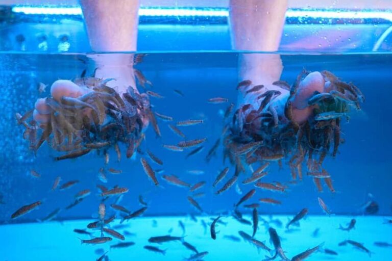 Foot care experience and Fish Spa Playa Fañabé - The Fish Spa Experience: What It’s Really Like