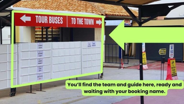 For Cruisers: Ephesus, Terrace Houses Tour with Lunch - What to Expect and Practical Tips