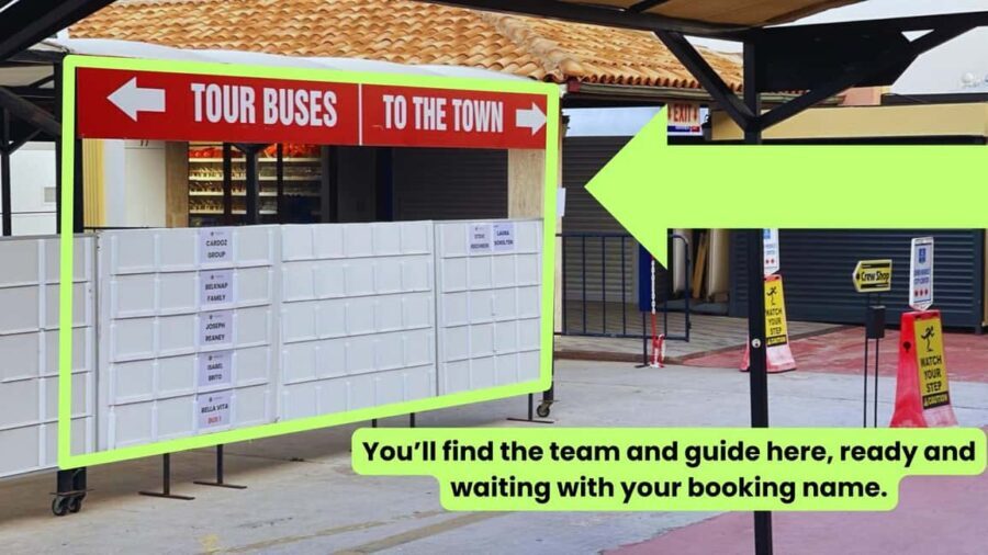 For Cruisers: Ephesus, Terrace Houses Tour with Lunch - What to Expect and Practical Tips