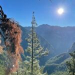 For the Wild Ones: White Mountains & Samaria Gorge Sightseeing - The Price & Its Value