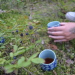 Forest Bathing in Stockholm nature with certified guide - Who Is This Experience Best For?