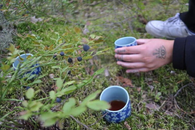 Forest Bathing in Stockholm nature with certified guide - Who Is This Experience Best For?