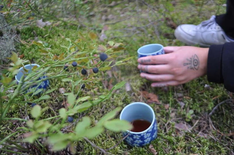 Forest Bathing in Stockholm nature with certified guide - Who Is This Experience Best For?