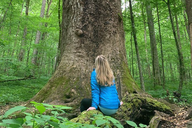 Forest Bathing & Nature Therapy Walk - Key Points