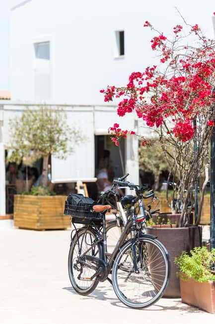 Formentera: discover our fast ferry + bike package - Who Will Love This Experience?