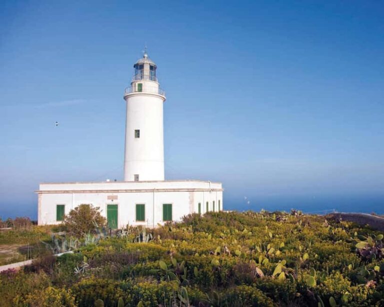 Formentera: discover our fast ferry + electric bike package. - Key Points