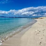 Formentera: Paddleboarding & Snorkelling 1h Tour - Key Points