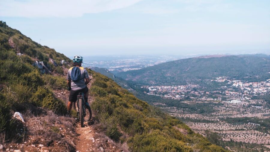 Fórnea E-bike and Olive Oil tour - What You Can Expect from the Experience