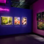 Fotografiska Stockholm Admission Ticket - The Practical Aspects of the Ticket