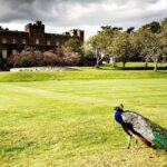 Four Cities, One Day: Explore St. Andrews, Dundee, Perth & More - Analyzing the Cost: Is It Worth It?