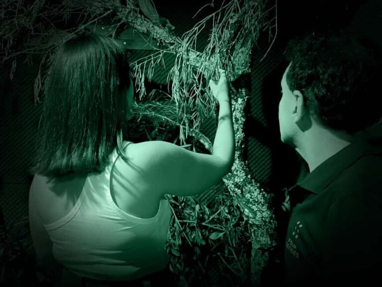 FOUR SENSES: The Immersive Experience in the Dark - Faro - The Real Value of FOUR SENSES