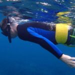 Four Winds Molokini Snorkeling Tour from Maalaea Harbor - What to Expect in Terms of Marine Life & Scenery