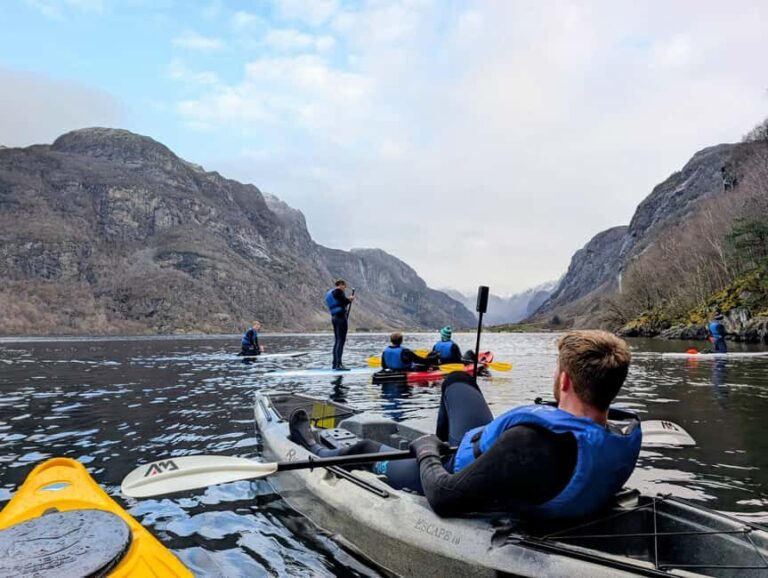 Frafjord: Guided Kayak or SUP Tour with Equipment - The Gear and Safety