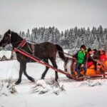 Fram Kraków: Tatra Mountain Sleigh Ride in Zakopane - Authenticity and Cultural Touches