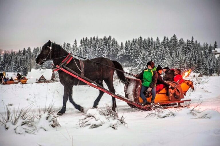Fram Kraków: Tatra Mountain Sleigh Ride in Zakopane - Authenticity and Cultural Touches