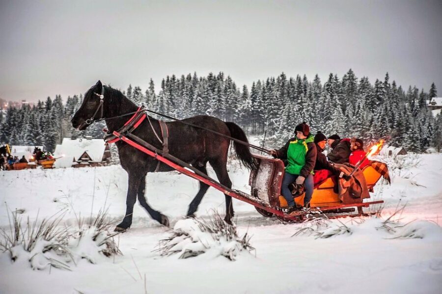 Fram Kraków: Tatra Mountain Sleigh Ride in Zakopane - Authenticity and Cultural Touches
