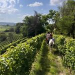 Franciacorta: Horseback Ride through Vineyards & Villages - The Experience in Detail