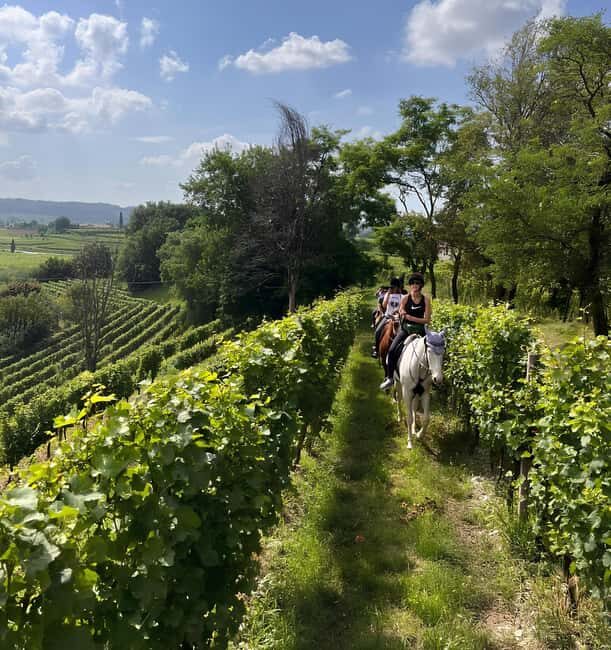 Franciacorta: Horseback Ride through Vineyards & Villages - The Experience in Detail