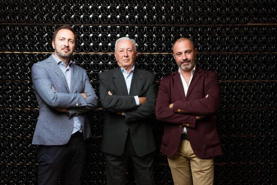 Franciacorta: Vineyard, Winery, and Edea To Tasting - Who Is This Tour For?