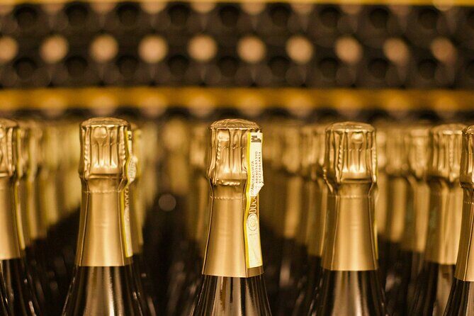 Franciacorta Wine Tasting Tour with Brescia Visit from Milan - Who Will Love This Tour?
