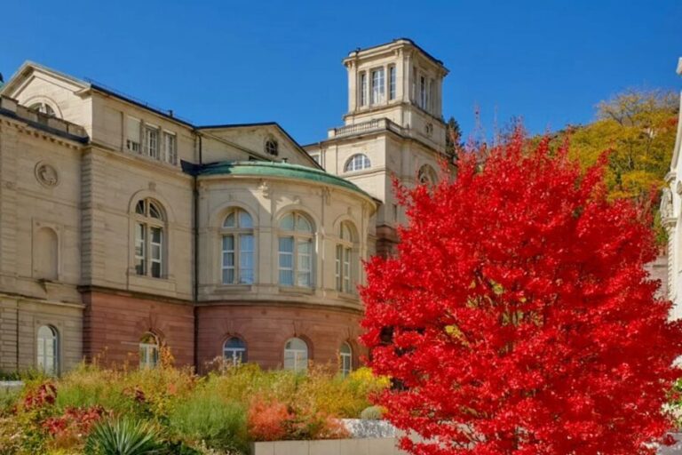 Frankfurt: Full-Day Baden-Baden and Strasbourg Trip - Transportation and Duration