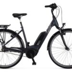 Frankfurt: Full-Day Bicycle or E-Bike Rental - What to Expect from the Rental Process