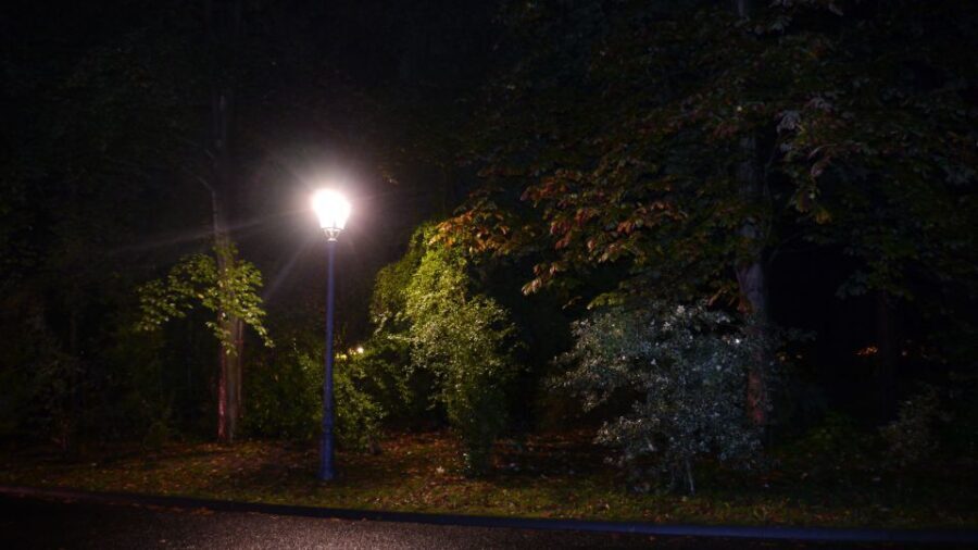 Frankfurt: The Black Death Tour - The Route and Highlights