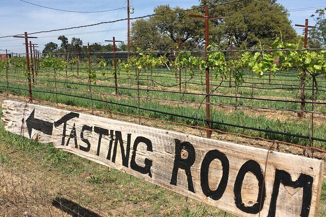 Fredericksburg Hill Country Aficionado Wine Tour from San Antonio - Who Is This Tour Best For?
