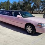 Fredericksburg Private Wine Tour Lincoln Limo - Who Is This Tour Best For?