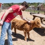 Fredericksburg Safari Tour Without Wine Tasting - The Value of the Experience