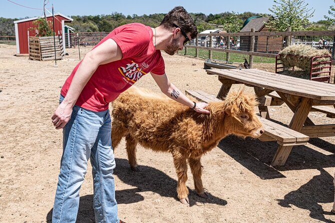 Fredericksburg Safari Tour Without Wine Tasting - The Value of the Experience