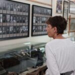 Free Pick up - Fall Alaskan Husky Dog Sledding Cart/ATV Ride - Value for Money