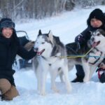 Free Pickup/Drop off: Alaskan Husky Dog Sledding with Free Photo - The Photos and Memories
