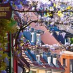 Freiburg: Gässle, Bächle and More City Tour - What to Expect from the Tour