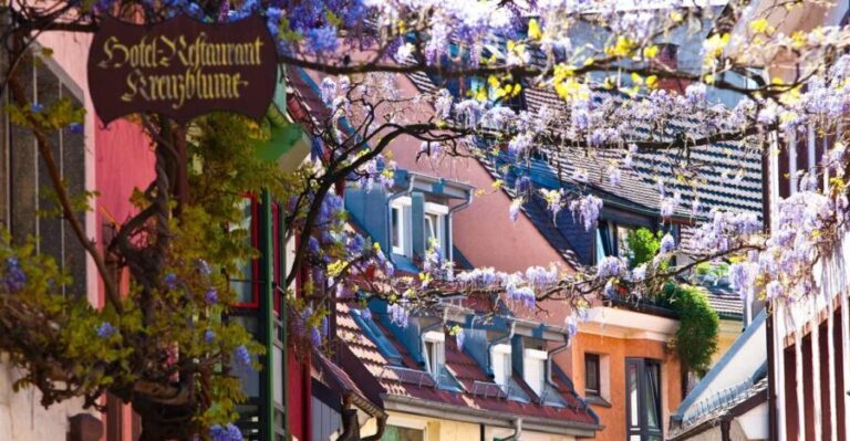 Freiburg: Gässle, Bächle and More City Tour - What to Expect from the Tour