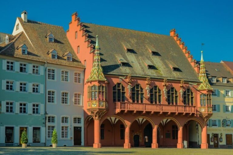 Freiburg im Breisgau: old town privat walking tour Italian - The Value of This Tour