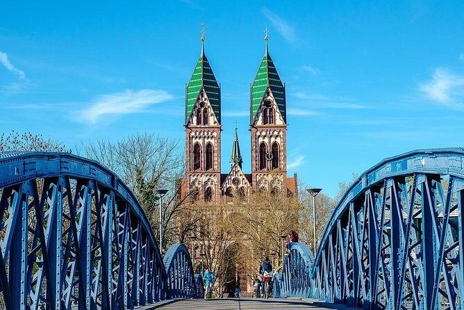 Freiburg im Breisgau Walking tour With A Professional Guide - Who Should Consider This Tour?