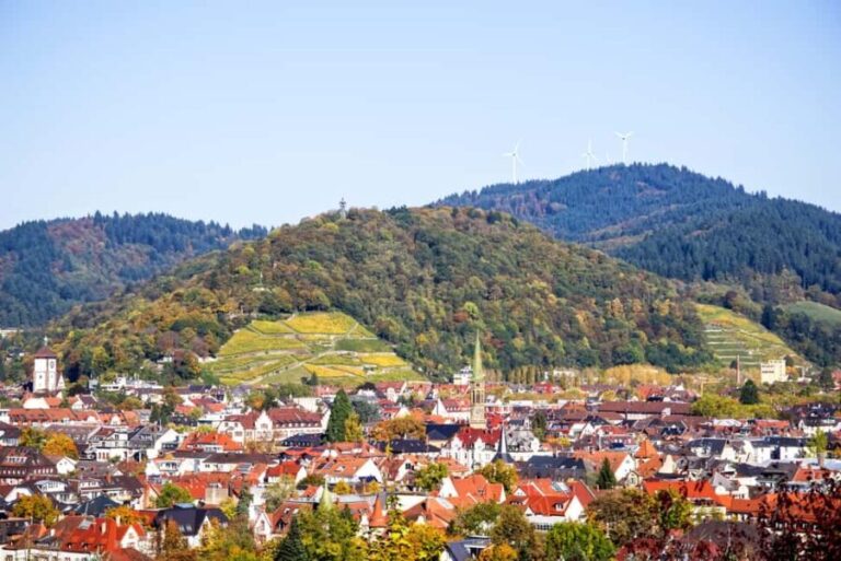 Freiburg: Private city tour in a relaxed atmosphere with an insider guide - Key Points