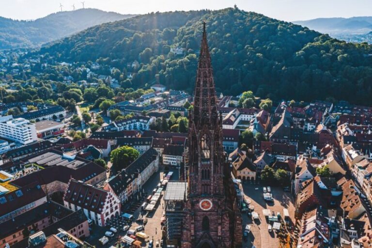 Freiburg: Veni, vidi, vino - wine hike and tasting - The Details: What to Expect from the Freiburg Wine Hike