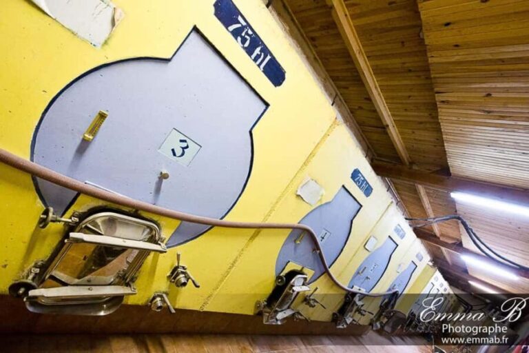 Fréjus: Cave tour and wine tasting - Who Should Consider This Tour?